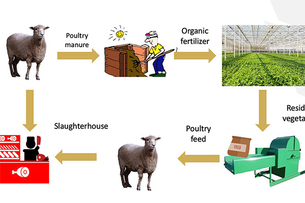 Ecological farming-9