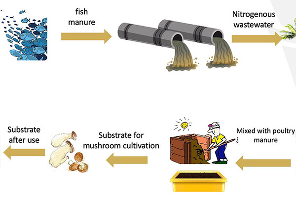 Ecological farming-8