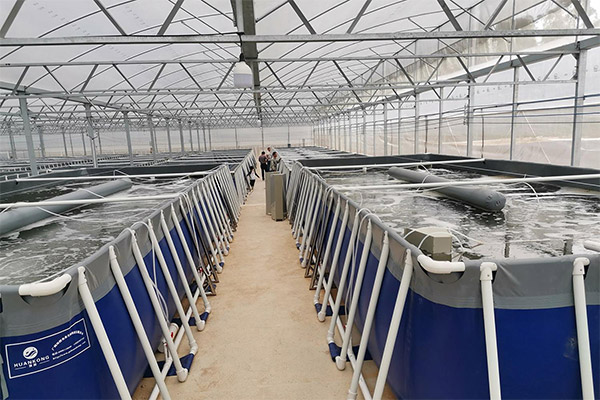 Aquaculture Farm-3