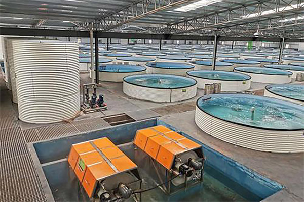 Aquaculture Farm-2